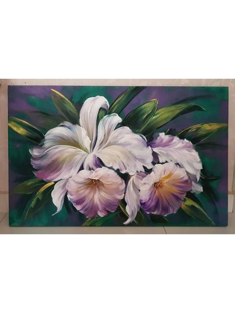 Orquídeas